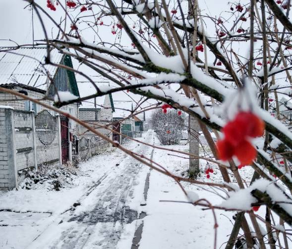 Районы Брянской области завалило снегом
