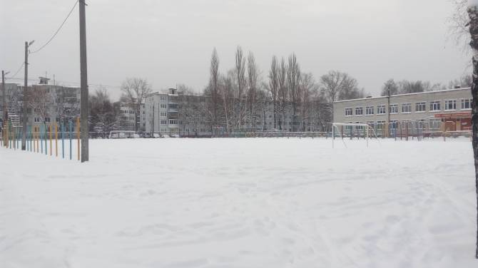 В Брянске детей оставили без ледового катка на стадионе школы №55