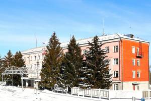 В Новозыбкове разгорелся скандал вокруг спила елок у администрации