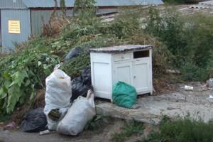 В Брянске управляющие компании подбрасывают мусор к контейнерам