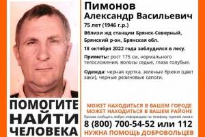 В Брянской области  нашли погибшим пропавшего 75-летнего Александра Пимонова