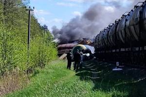 За подрыв железной дороги в Брянской области украинскому диверсанту дали 22 года строгача