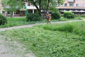 В Брянске скосили траву на 900 тысячах квадратных метров
