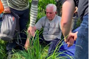 В Брянской области пропавшего 81-летнего Николая Петрухина нашли живым