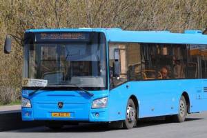 С начала года в Брянске автобусы перевезли 12,4 миллиона пассажиров