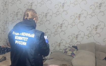 В Почепском районе 56-летний бомж забил друга табуреткой до смерти