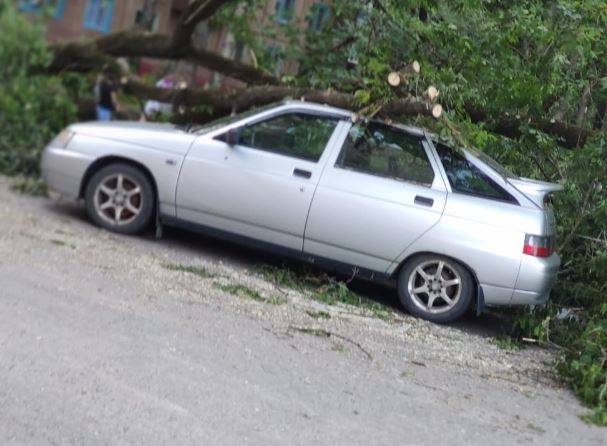 В Брянске коммунальщики повалили спиленное дерево на ВАЗ