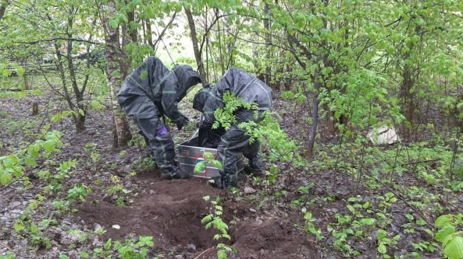 В лесу под Выгоничами нашли 29 килограммов ртути