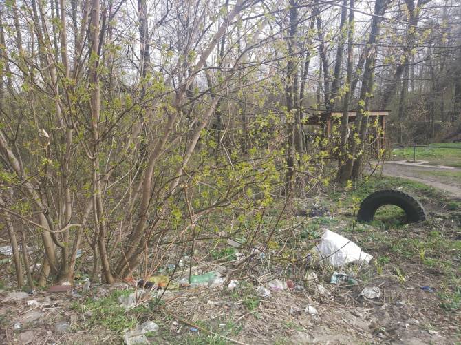 В Клинцах родник превратили в свалку