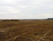 В Брянской области Россельхознадзор забраковал 340 гектаров земли