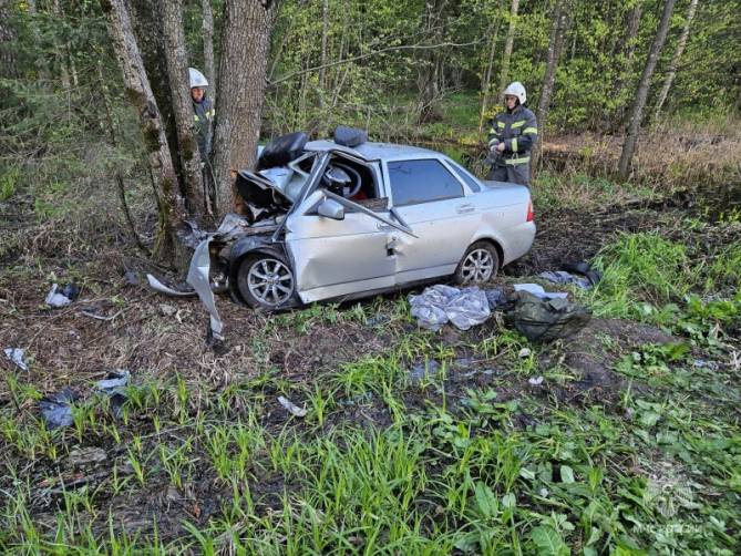 Под Брянском уснувший за рулем 20-летний водитель погубил пассажира