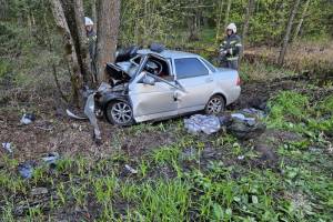 Под Брянском уснувший за рулем 20-летний водитель погубил пассажира