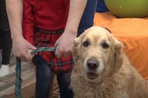 В Брянске собаку позвали на помощь особенным детям