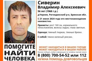 В Брянской области начались поиски 56-летнего Владимира Сиверина