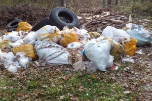 В Брянске из леса на Ковшовке вывезли 15 кубометров мусора