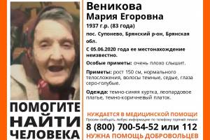 В Брянске ищут пропавшую 83-летнюю Марию Веникову 