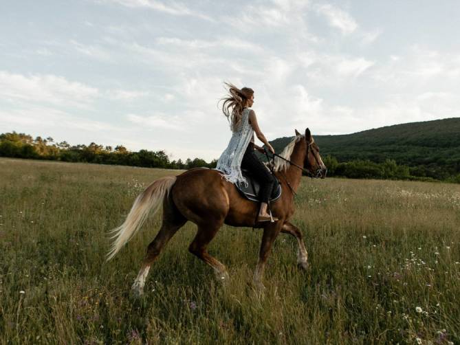 У брянского конного клуба «Эклипс» по суду отобрали арендуемый участок
