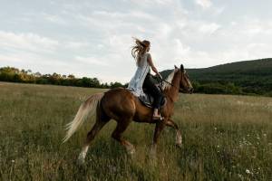 У брянского конного клуба «Эклипс» по суду отобрали арендуемый участок