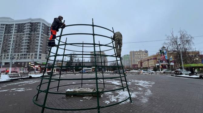 Первую городскую елку в Брянске начали устанавливать на Кургане Бессмертия