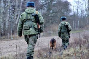 На брянской границе с Белоруссией сотрудники ФСБ поймали 100 нелегалов