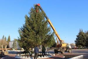 В Суземке установили главную ель