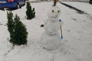 В Брянске слепили огромную армию снеговиков