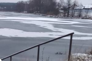 В Климово лебеди оказалисьв ловушке на замерзающем озере