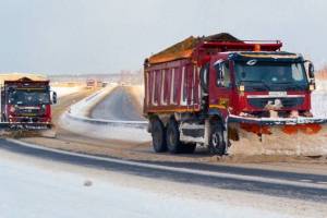 В Брянской области на федеральные трассы за сутки высыпали 1095 тонн песка и соли