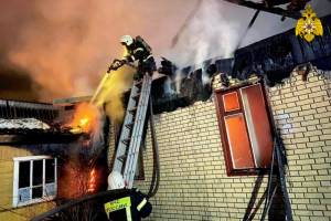 В Брянской области с начала осени на пожарах погибли 16 человек