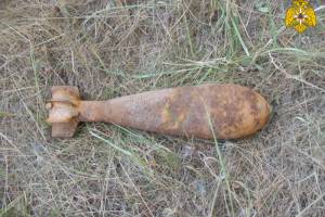 Возле брянского на берегу Судости нашли минометную мину