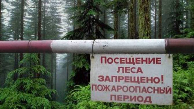 В Брянской области продлили запрет на посещение лесов