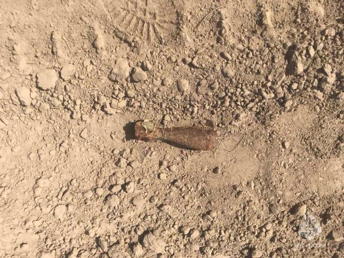 В поле под Севском нашли миномётную мину