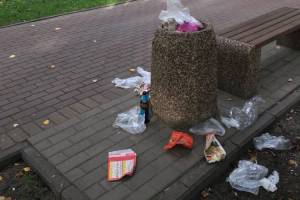 В Брянске новые урны в сквере Энергетиков переполнились мусором