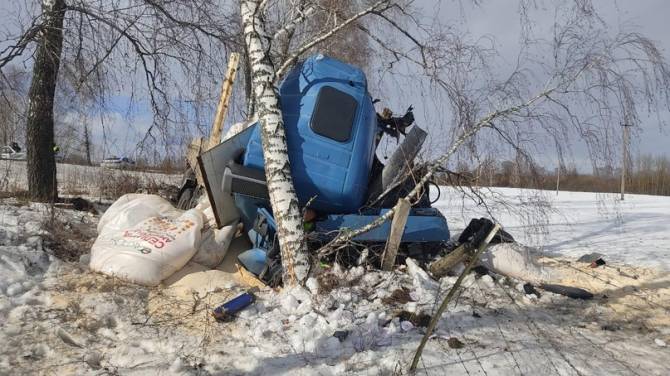 Под Почепом водитель тягача врезался в дерево 