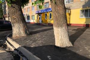 В Брянске на «Молодёжке» деревья закатали в асфальт