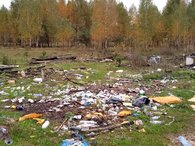 В Клинцовском районе собственника земли через суд заставили убрать свалку