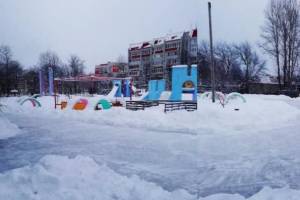 В Брянском парке «Юность» начал работу ледовый каток