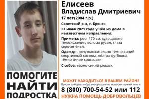 В Брянске нашли живым 17-летнего Владислава Елисеева