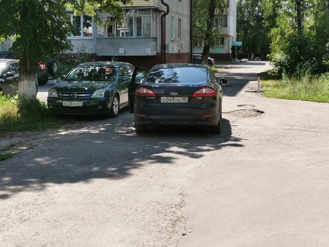 В Брянске на улице Камозина сняли на фото «мастера» парковки