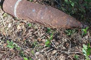 В лесу под Навлей нашли артиллерийский снаряд