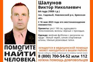 В Брянской области начали поиски 64-летнего Виктора Шалунова