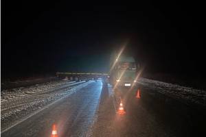 На брянской трассе грузовик сбил пьяного 39-летнего мужчину