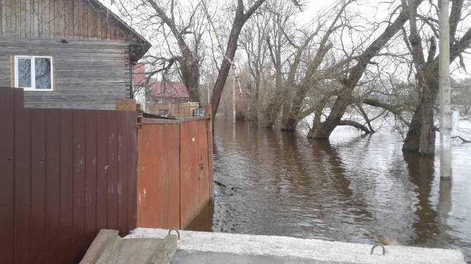 В Брянске разливом Десны затопило дома на улице Нижне-Заречной