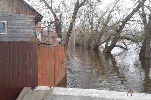 В Брянске разливом Десны затопило дома на улице Нижне-Заречной
