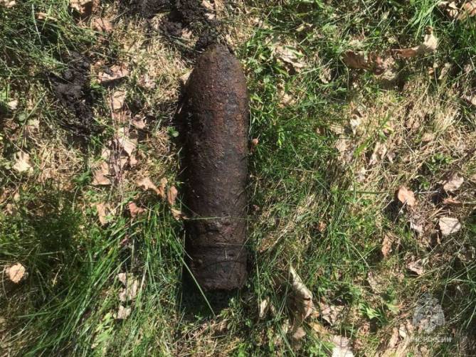 Под Дубровкой в болоте нашли артиллерийский снаряд