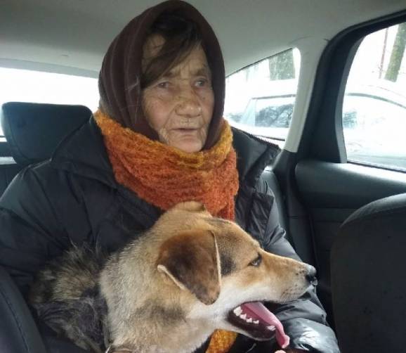 В Брянске из затопленного дома спасли 82-летнюю старушку с собакой