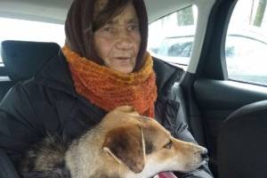 В Брянске из затопленного дома спасли 82-летнюю старушку с собакой