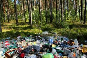 В Климовском районе в лесу арендатор развел свалку