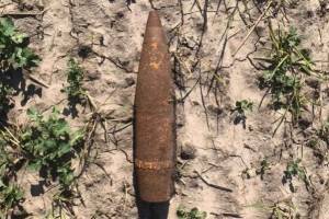 В поле возле села в Брасовском районе нашли артиллерийские снаряды