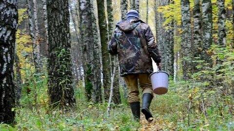В лесах Брянской области трагически погибли трое грибников